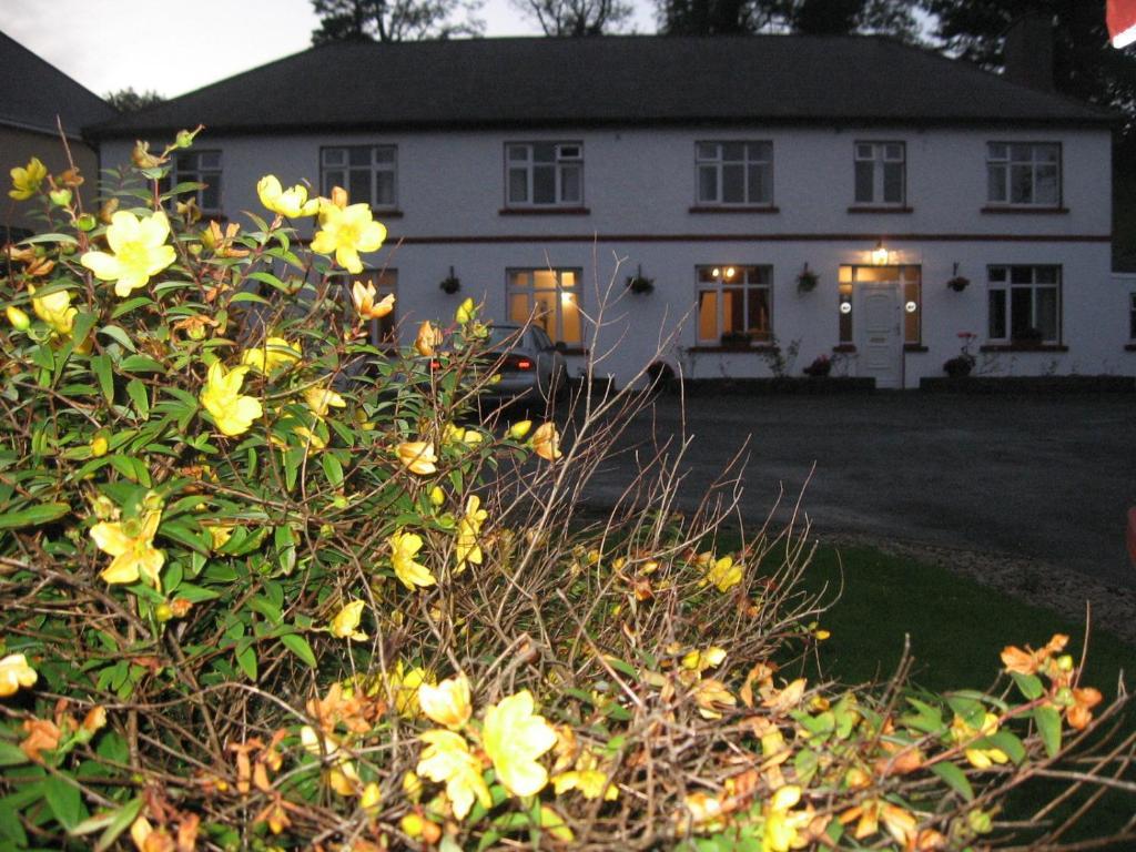 Woodlawn House Killarney Exterior foto